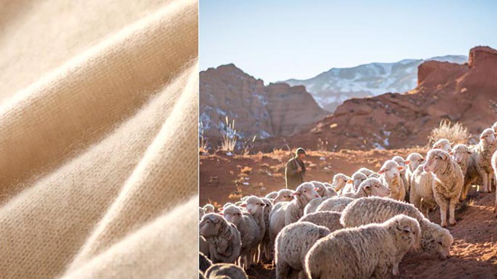 高領針織羊毛打底上衣,evaviva,8C-GM7302,高領針織羊毛打底上衣,領500,999免運